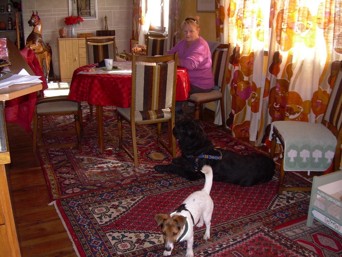 Wohlfuehloase Fuer Mensch Und Hund Bed & Breakfast Uzwil Bagian luar foto