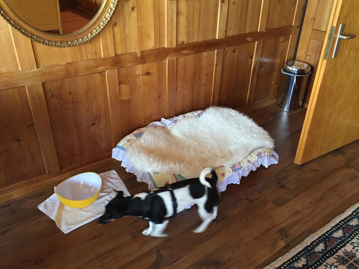 Wohlfuehloase Fuer Mensch Und Hund Bed & Breakfast Uzwil Bagian luar foto
