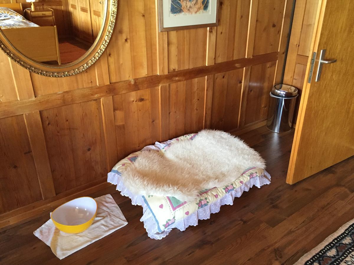 Wohlfuehloase Fuer Mensch Und Hund Bed & Breakfast Uzwil Bagian luar foto
