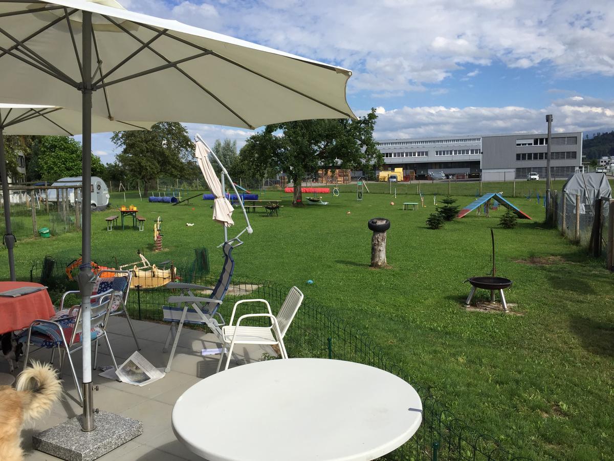 Wohlfuehloase Fuer Mensch Und Hund Bed & Breakfast Uzwil Bagian luar foto
