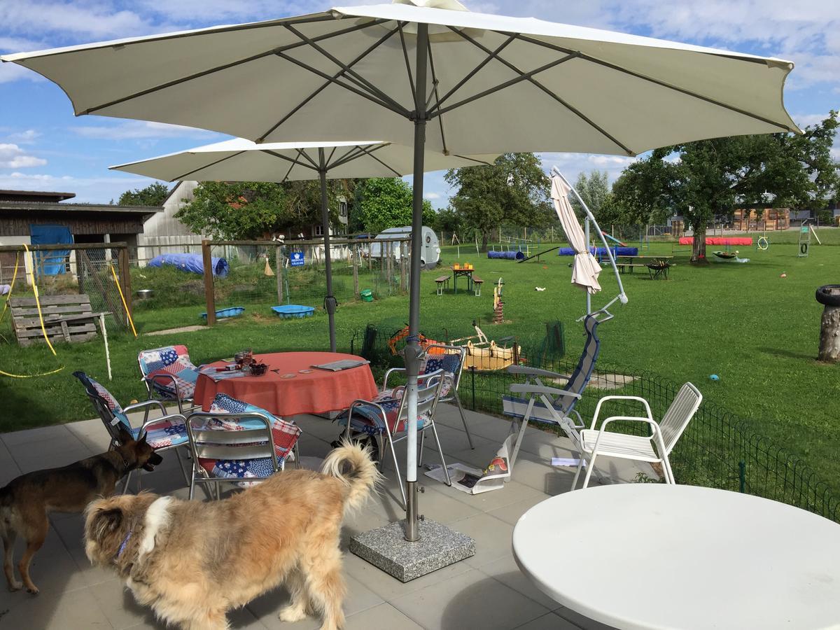 Wohlfuehloase Fuer Mensch Und Hund Bed & Breakfast Uzwil Bagian luar foto